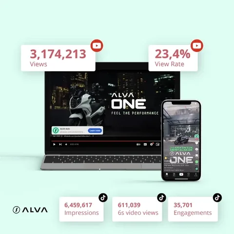ALVA interface